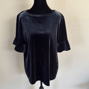 Ann Taylor Midnight Velvet Blouse